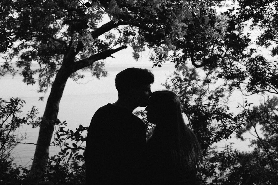 Black and white silhouette under a tree
